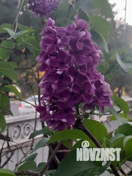 Дом 50м², 1-этажный, на длительный срок, 