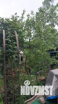 Дом 33м&sup2;, 1-этажный, посуточно, 