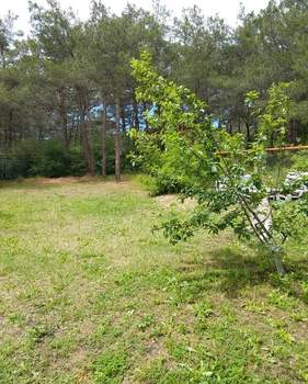 Дом 488м&sup2;, 4-этажный, участок 6 сот.  