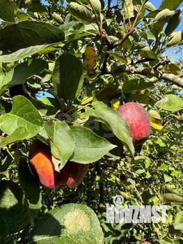 Дом 100м&sup2;, 2-этажный, участок 11 сот.  