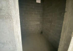 Дом 95м&sup2;, 1-этажный, участок 3 сот.  