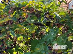 Дом 225м², 3-этажный, участок 11 сот.  