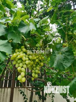 Коттедж 416м&sup2;, 3-этажный, участок 6 сот.  