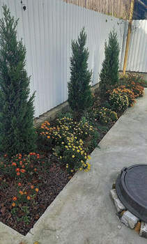 Дом 137м², 2-этажный, участок 4 сот.  