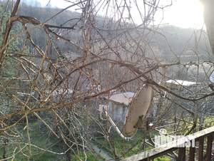 Дом 60м&sup2;, 2-этажный, участок 5 сот.  