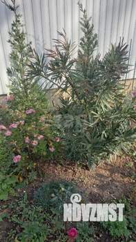 Дом 137м&sup2;, 2-этажный, участок 4 сот.  