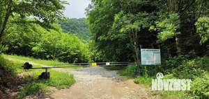 Дом 45м&sup2;, 1-этажный, участок 9 сот.  