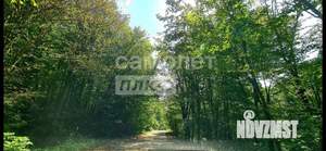 Дом 80м&sup2;, 1-этажный, участок 8 сот.  