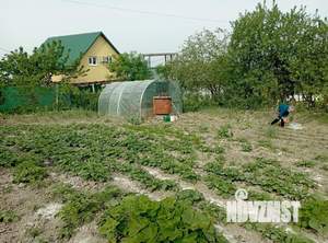 Дом 28м², 1-этажный, участок 7 сот.  