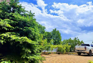 Дом 324м&sup2;, 2-этажный, участок 7 сот.  