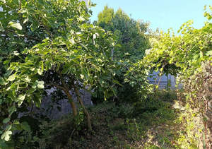 Дом 165м², 2-этажный, участок 6 сот.  