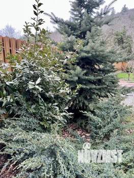 Дом 186м&sup2;, 3-этажный, участок 4 сот.  