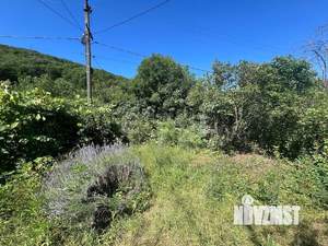 Дом 40м&sup2;, 1-этажный, участок 8 сот.  