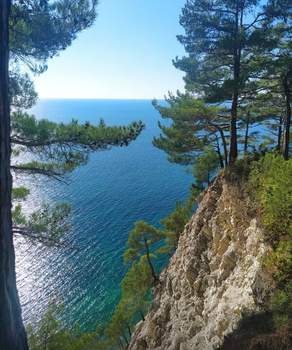 Дом 150м², 1-этажный, участок 5 сот.  