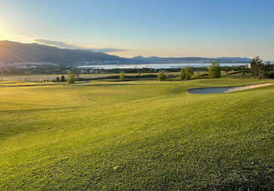 Дом 172м&sup2;, 1-этажный, участок 6 сот.  