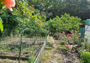 Дом 60м&sup2;, 1-этажный, участок 9 сот.  