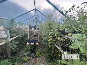 Дом 80м&sup2;, 1-этажный, участок 6 сот.  