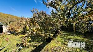 Дом 50м&sup2;, 1-этажный, участок 16 сот.  