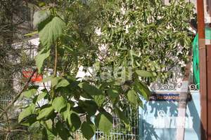 Дом 46м&sup2;, 1-этажный, участок 5 сот.  