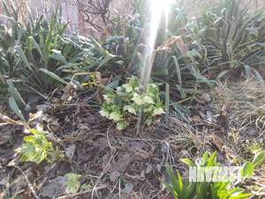 Дом 71м&sup2;, 2-этажный, участок 6 сот.  