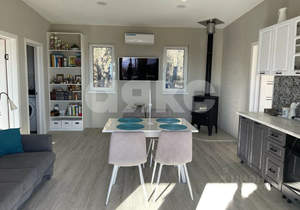 Дом 65м&sup2;, 1-этажный, участок 4 сот.  