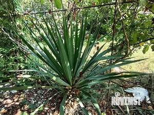 Дом 89м&sup2;, 1-этажный, участок 8 сот.  