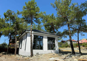 Дом 60м&sup2;, 1-этажный, участок 4 сот.  