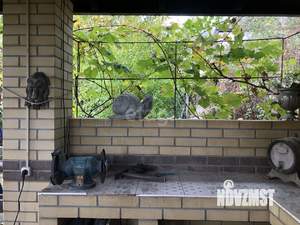 Дом 195м&sup2;, 2-этажный, участок 6 сот.  