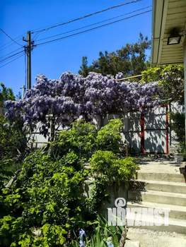 Дом 64м&sup2;, 2-этажный, участок 6 сот.  