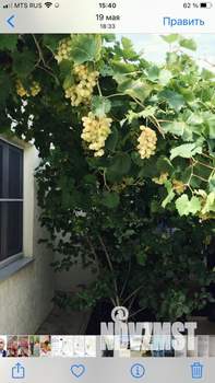 Дом 66м², 1-этажный, участок 5 сот.  