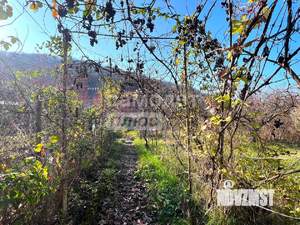 Дом 40м², 1-этажный, участок 8 сот.  