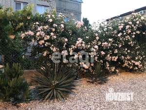 Дом 250м&sup2;, 3-этажный, участок 5 сот.  