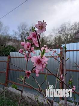 Дом 60м&sup2;, 2-этажный, участок 4 сот.  