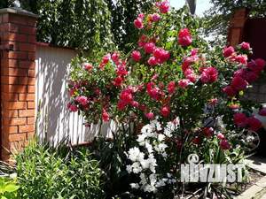 Дом 389м&sup2;, 3-этажный, участок 6 сот.  