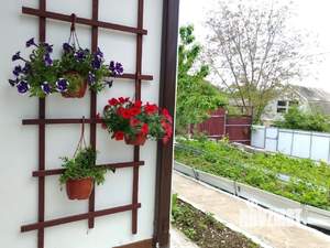 Дом 72м&sup2;, 1-этажный, участок 4 сот.  