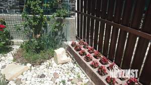 Дом 296м&sup2;, 3-этажный, участок 4 сот.  