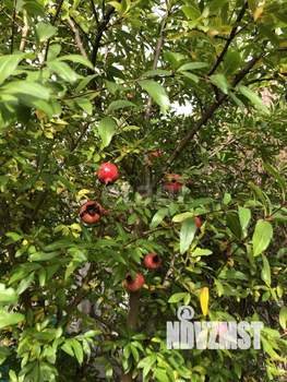 Дом 195м&sup2;, 2-этажный, участок 6 сот.  