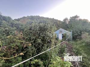 Дом 80м&sup2;, 1-этажный, участок 6 сот.  