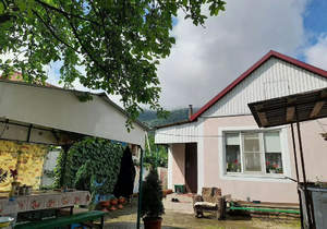 Дом 60м&sup2;, 1-этажный, участок 9 сот.  