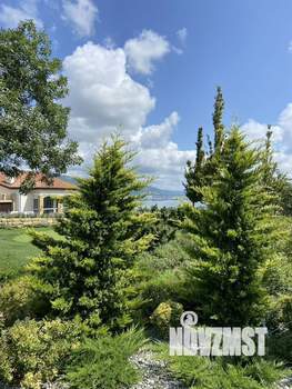 Дом 242м&sup2;, 3-этажный, участок 3 сот.  