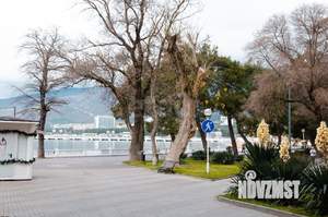 Дом 65м&sup2;, 1-этажный, участок 6 сот.  