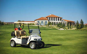 Дом 172м&sup2;, 1-этажный, участок 6 сот.  