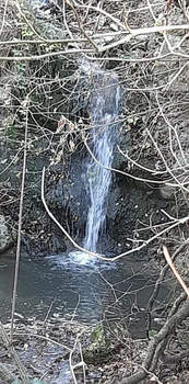 Дом 81м&sup2;, 2-этажный, участок 6 сот.  