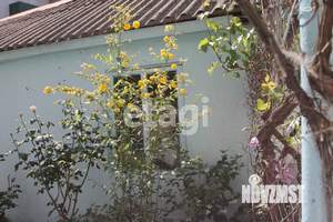 Дом 46м&sup2;, 1-этажный, участок 5 сот.  