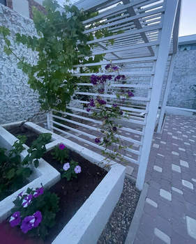 Дом 186м&sup2;, 2-этажный, участок 4 сот.  