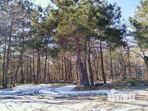 Дом 200м&sup2;, 2-этажный, участок 4 сот.  