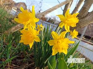 Дом 240м&sup2;, 2-этажный, участок 6 сот.  