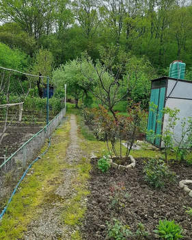 Дом 60м&sup2;, 1-этажный, участок 9 сот.  