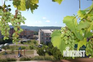 1-к квартира, посуточно, 45м2, 3/3 этаж