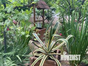 1-к квартира, на длительный срок, 35м2, 3/3 этаж